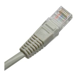 1 Ft. Cable